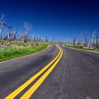 Lonesome Road through Mesa Verde