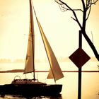 Lonesome Sailing Boat