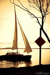 Lonesome Sailing Boat