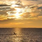 Lonesome Surfer