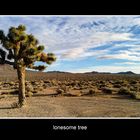 Lonesome Tree