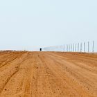 Lonesome Trucker