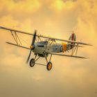 Long ago - Hawker Nimrod