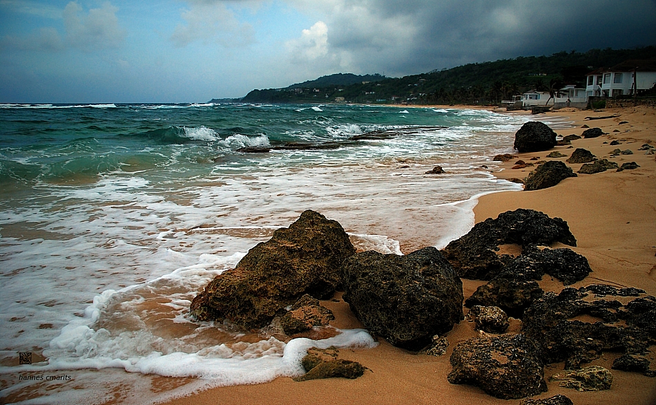 long bay - a place to remember