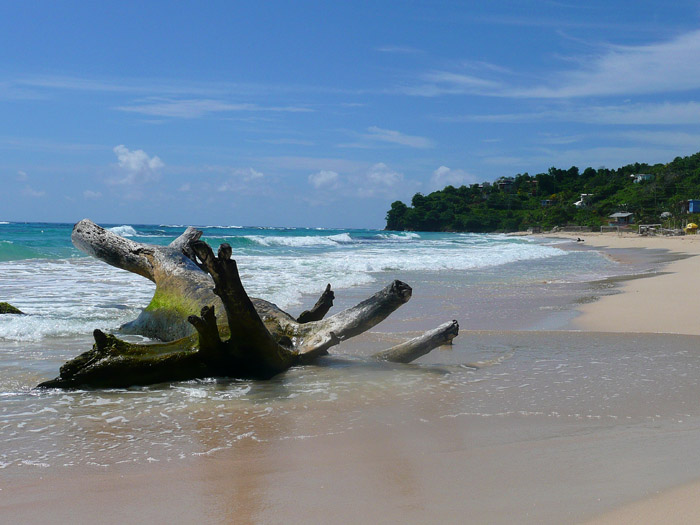 Long Bay, Jamaica