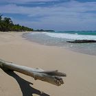 Long Bay, Jamaica II