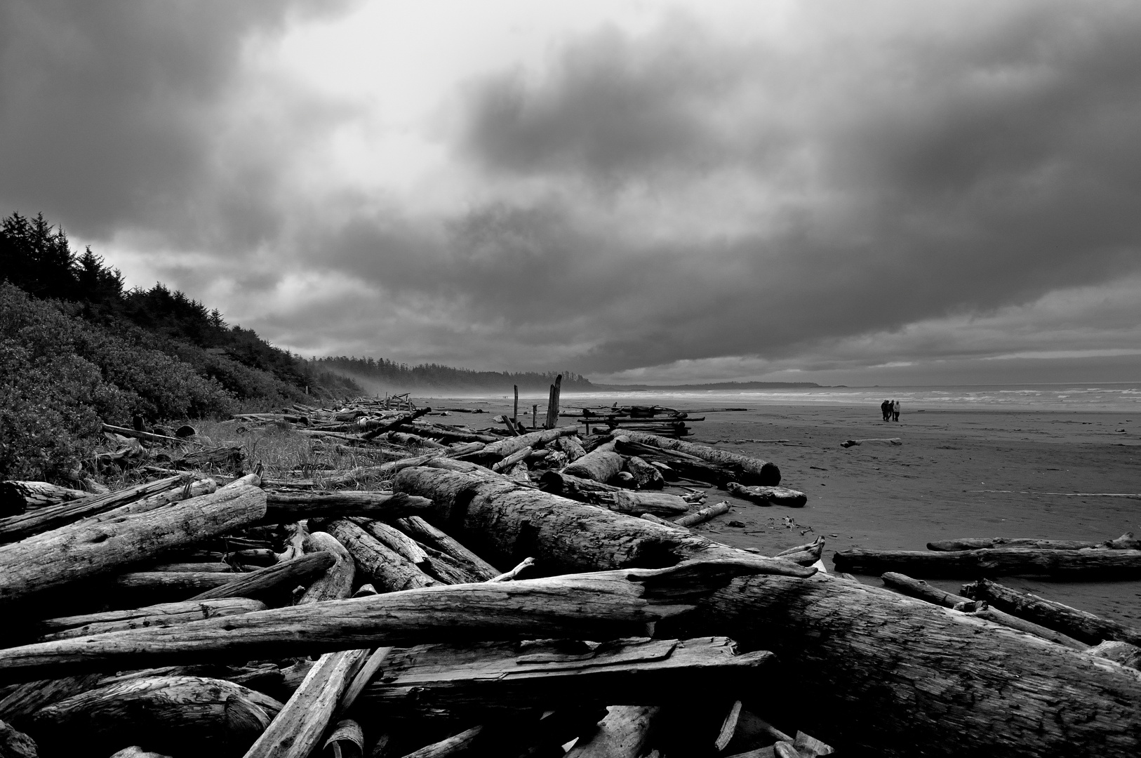 Long Beach 2 - Tofino National Park, CA