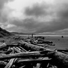 Long Beach 2 - Tofino National Park, CA