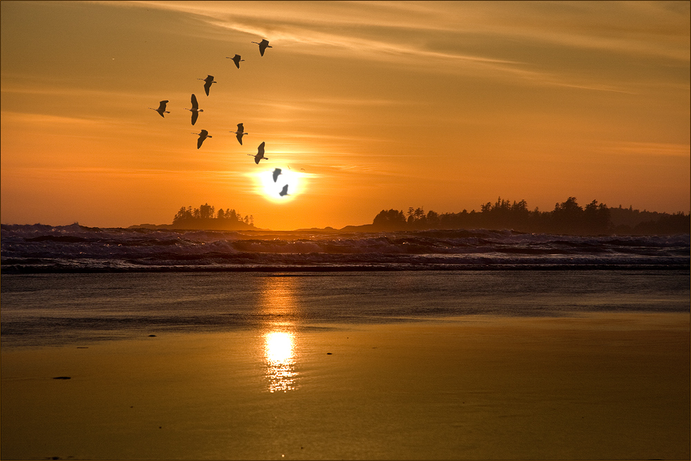 Long Beach auf Vancouver Island