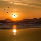 Long Beach auf Vancouver Island