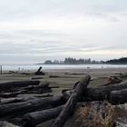 Long Beach auf Vancouver Island