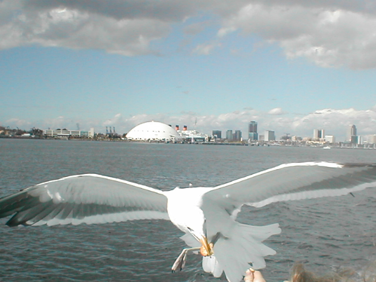 Long Beach Harbor cruise