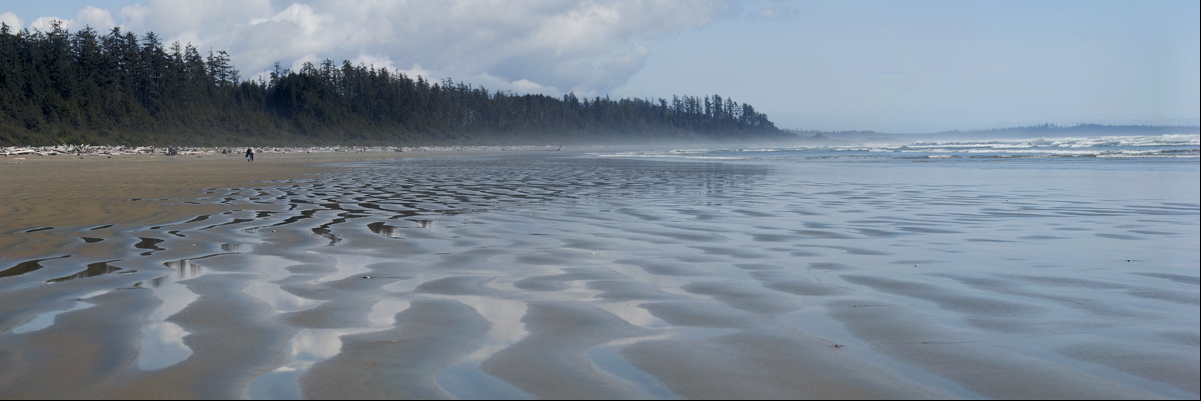 Long Beach Reflection