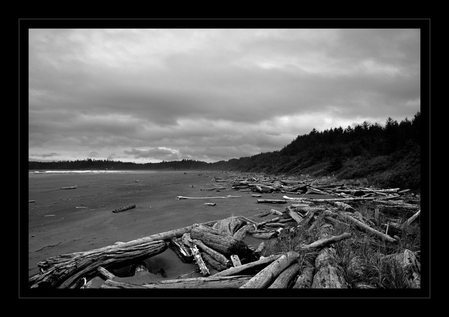 Long Beach - Tofino National Park, CA