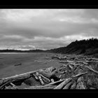 Long Beach - Tofino National Park, CA