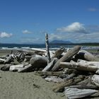 Long Beach, Vancouver Island