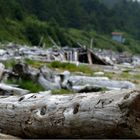 Long Beach - Vancouver Island