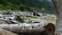 Long Beach - Vancouver Island