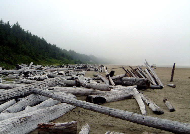 Long Beach, Vancouver Island, Kanada