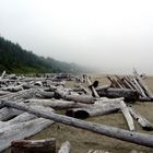 Long Beach, Vancouver Island, Kanada