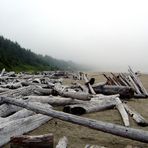 Long Beach, Vancouver Island, Kanada