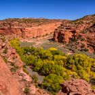 Long Canyon, Burr Trail, Utah, USA