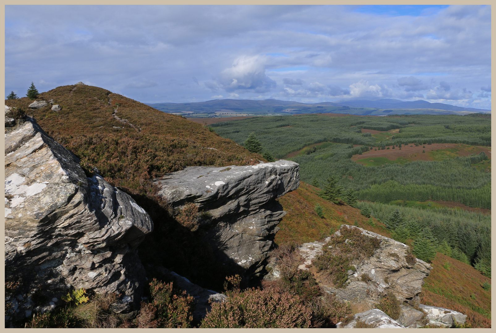 Long Crag and Thrunton Wood