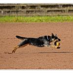 Long - Fiete