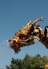 Long Ma, la dragonne (2)