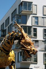 Long Ma la dragonne