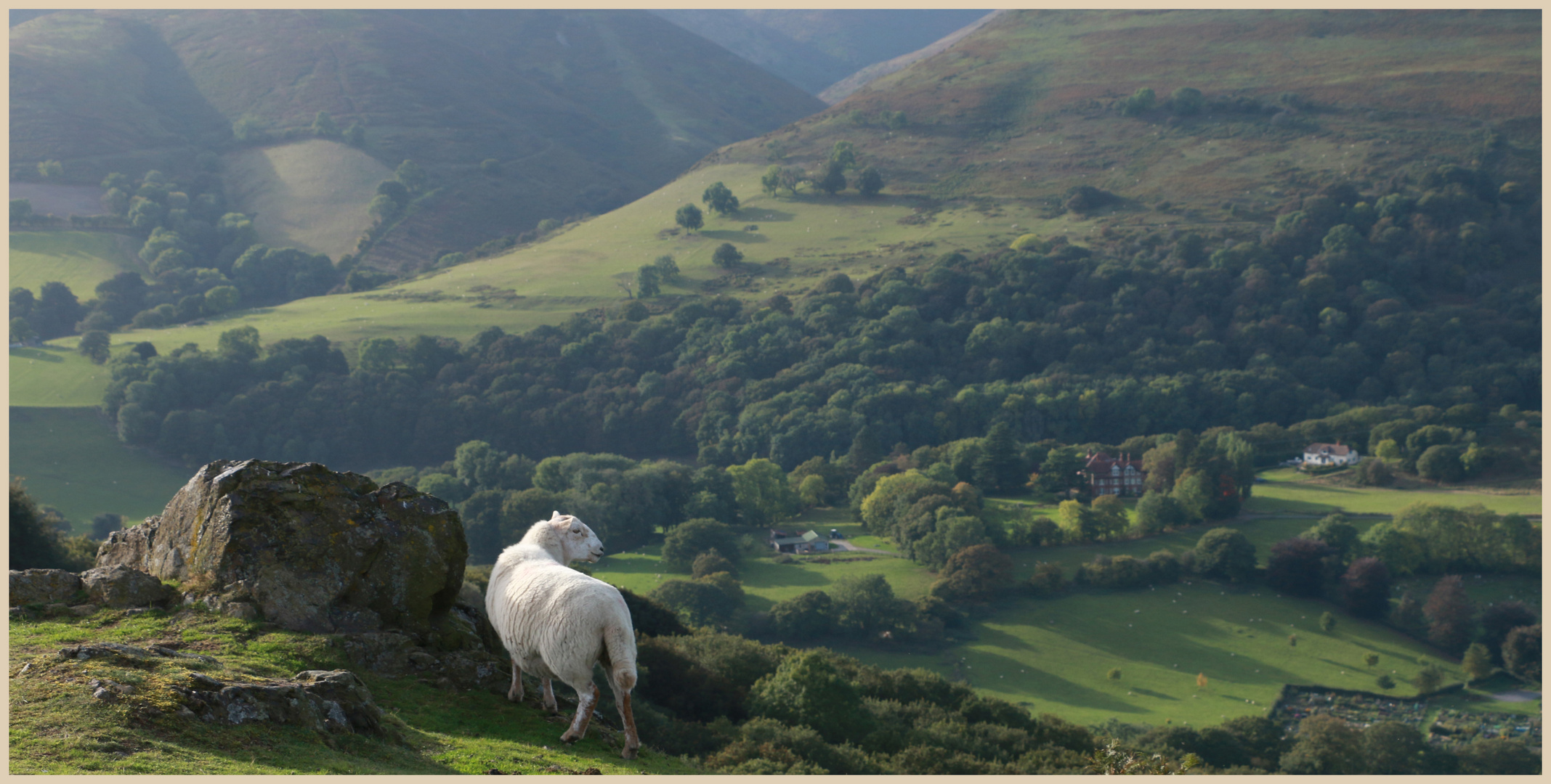 Long Mynd  from ragleth Hill 10