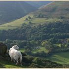 Long Mynd  from ragleth Hill 10