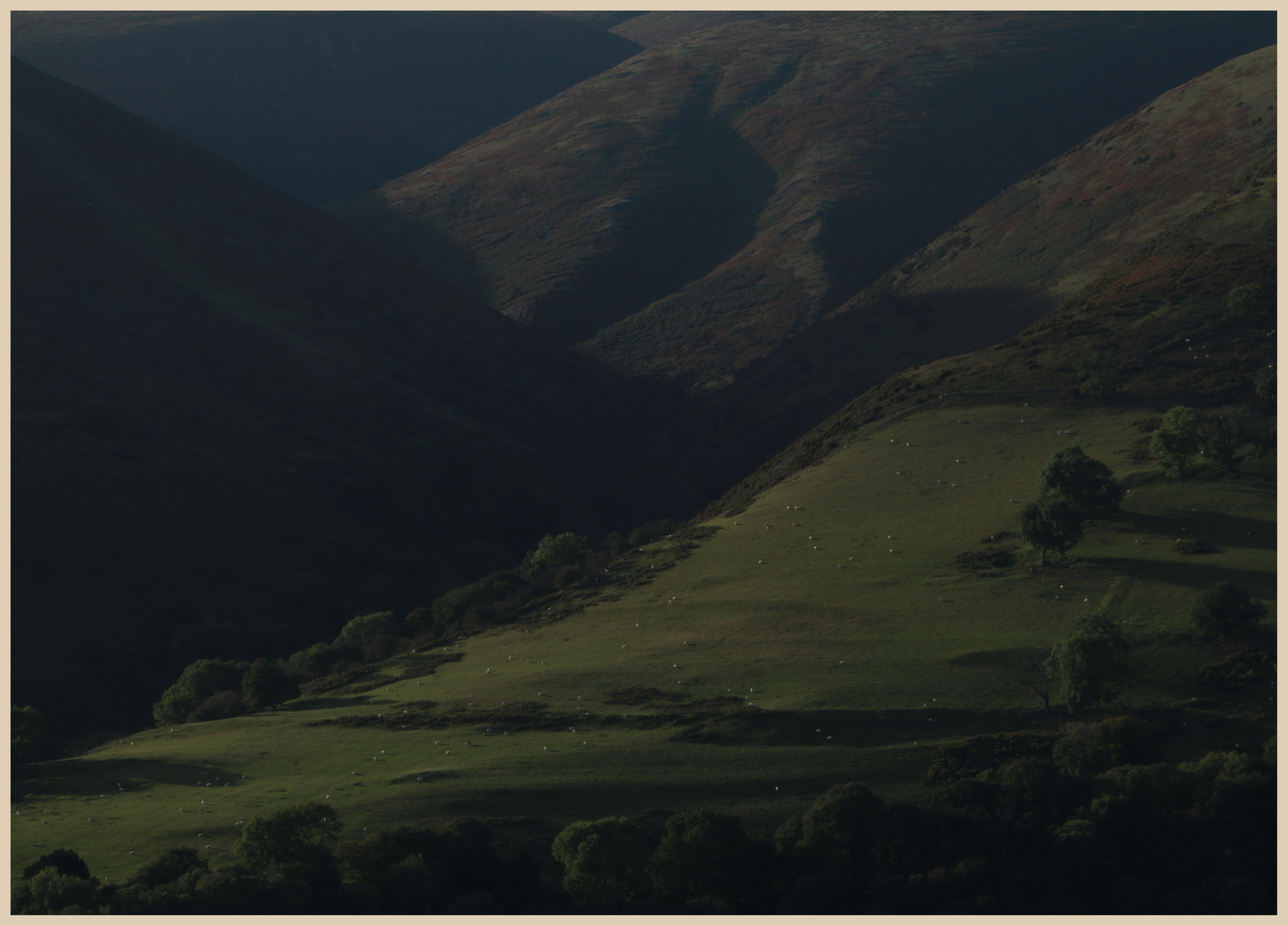 Long Mynd from ragleth Hill 7