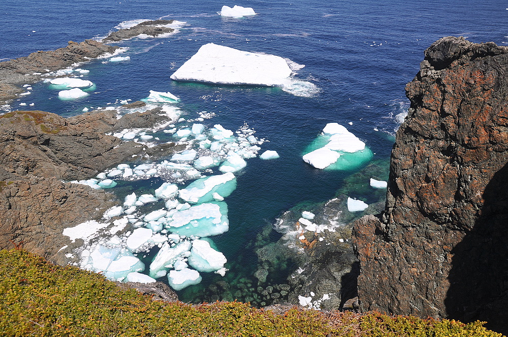 Long Point Twillingate I