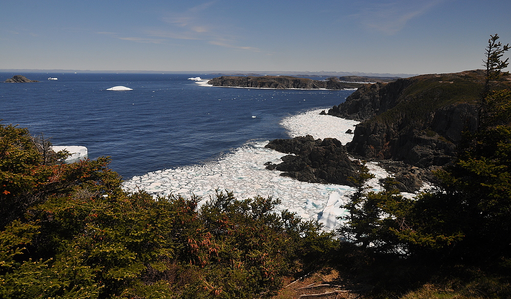 Long Point Twillingate III