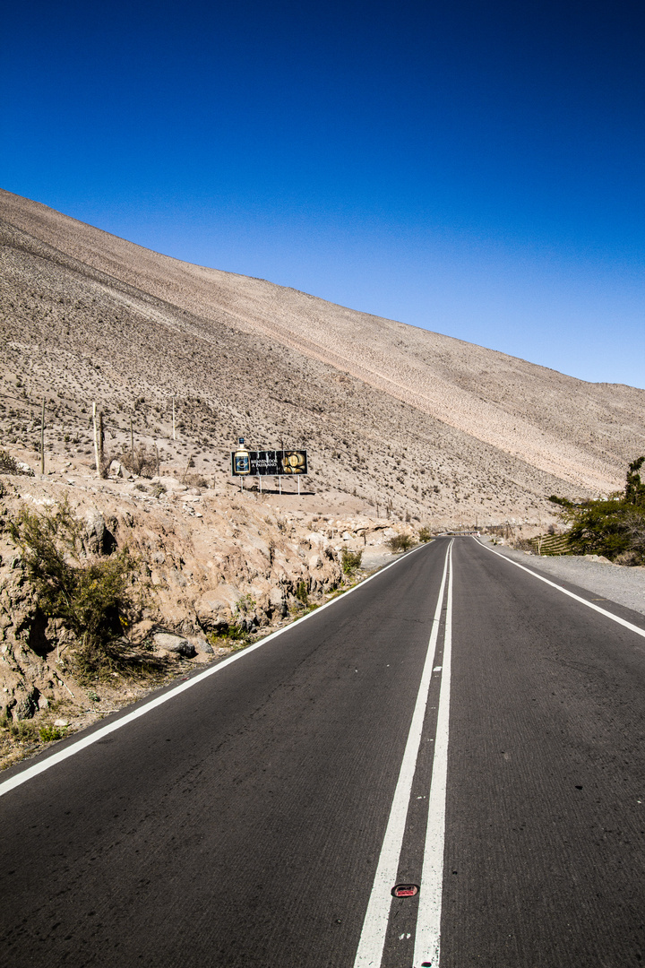 Long road to Pisco...Elqui-Tal, Chile