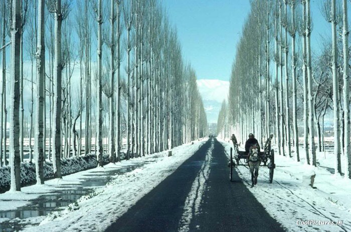 Long Road trip To Kashmir