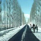 Long Road trip To Kashmir