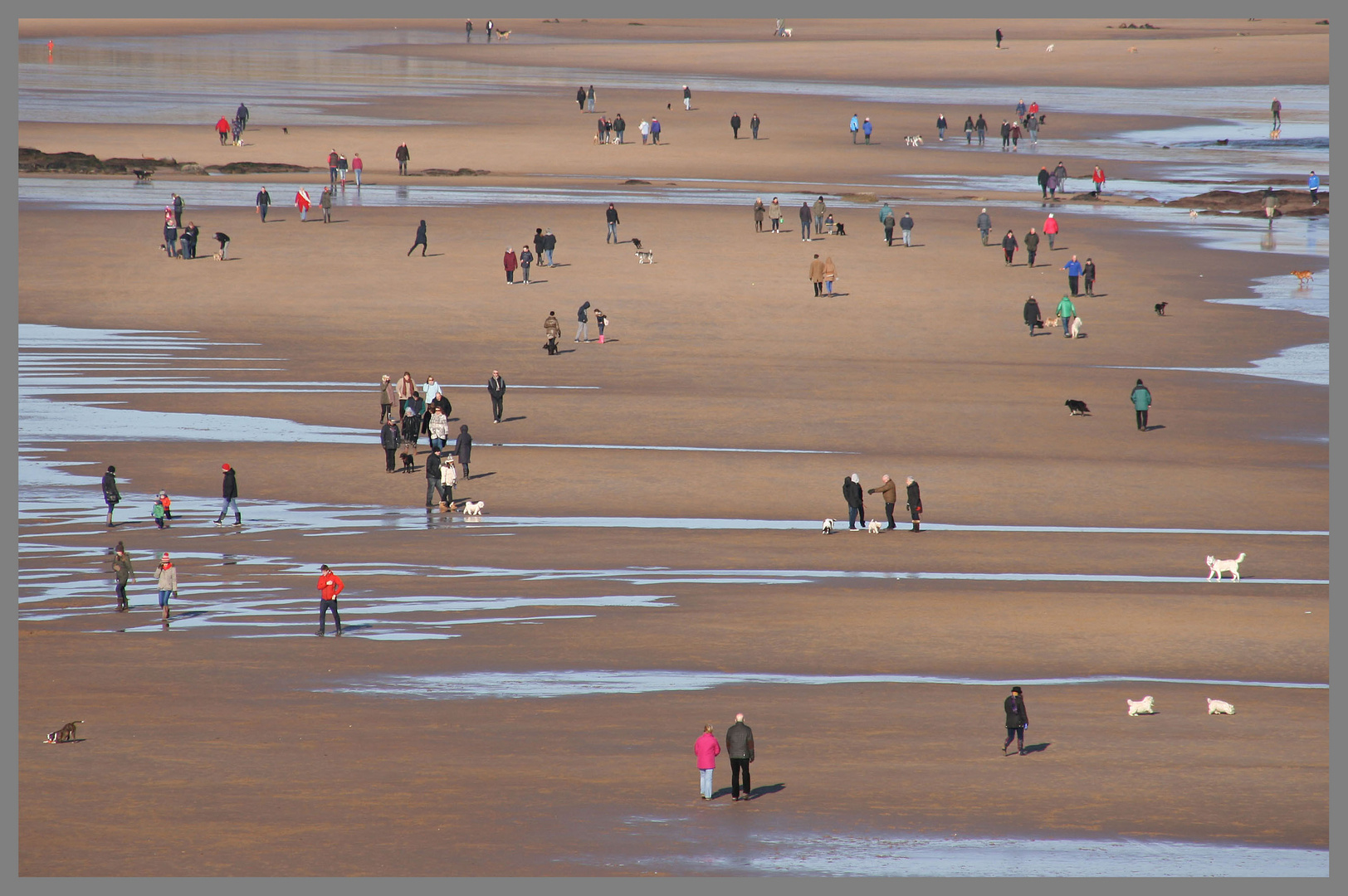 Long Sands Tynemouth 4