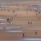 Long Sands Tynemouth 4