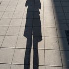 long shadow