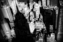 long shadow