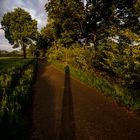 Long shadow at sunset