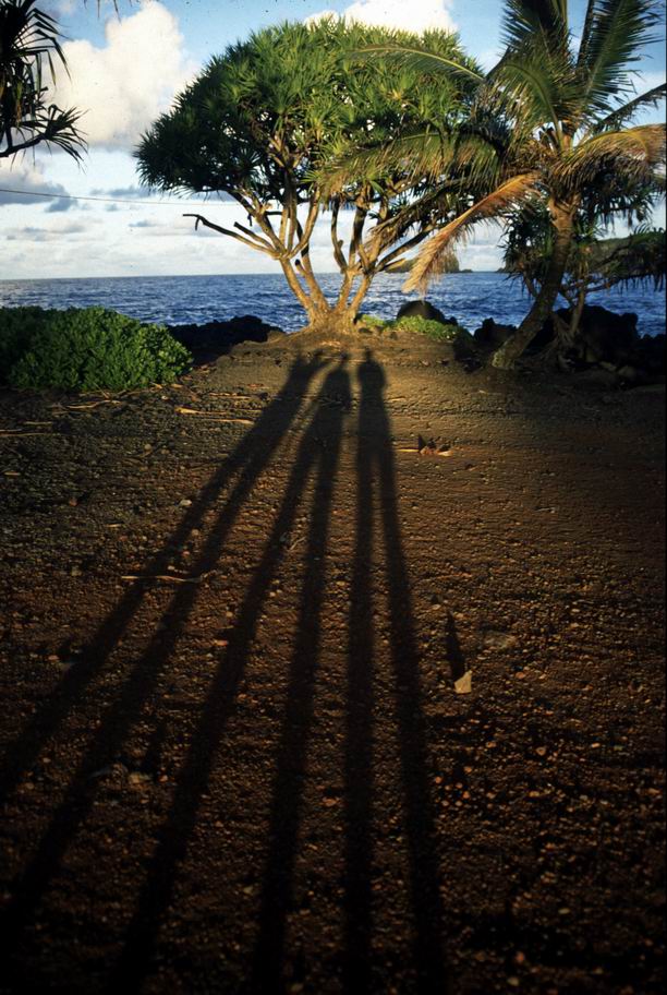 long shadows