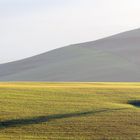 Long shadows