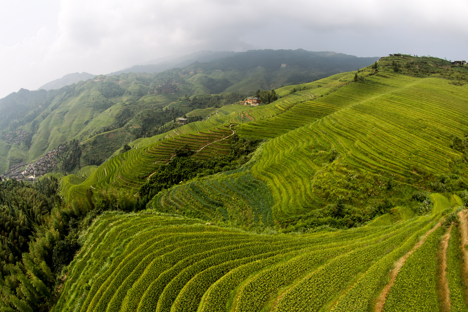 Lóng shèng - rice terraces -