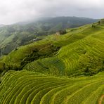 Lóng shèng - rice terraces -