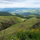 Long Tom Pass