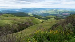 Long Tom Pass