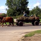 Long Vehicle